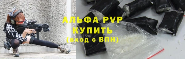 твердый Майский