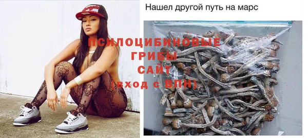 шишки Магас